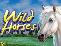 Wild Horses