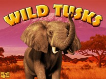 Wild Tusks