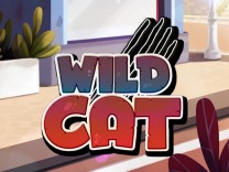 wild-cat logo