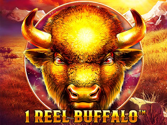 1 Reel Buffalo