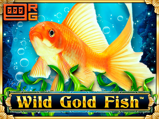 Wild Gold Fish