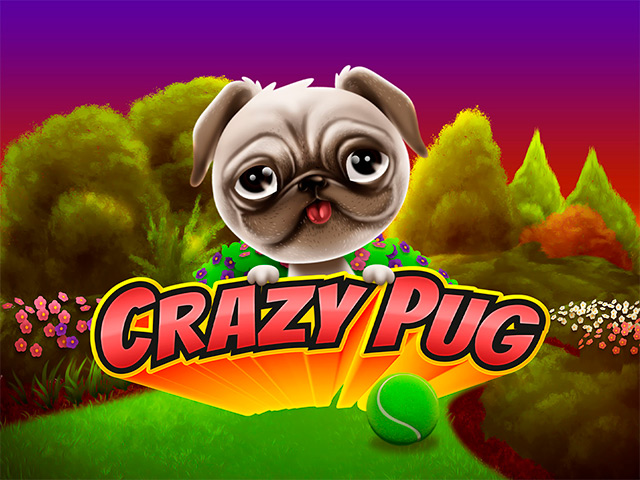 Crazy Pug