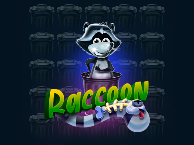 Raccoon