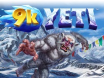9kyeti logo