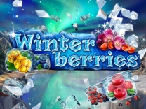 winterberries logo